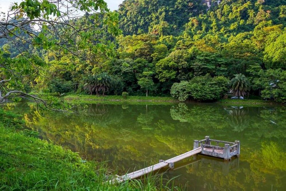 There are beautiful hidden spots on your trekking trail in Cuc Phuong National Park